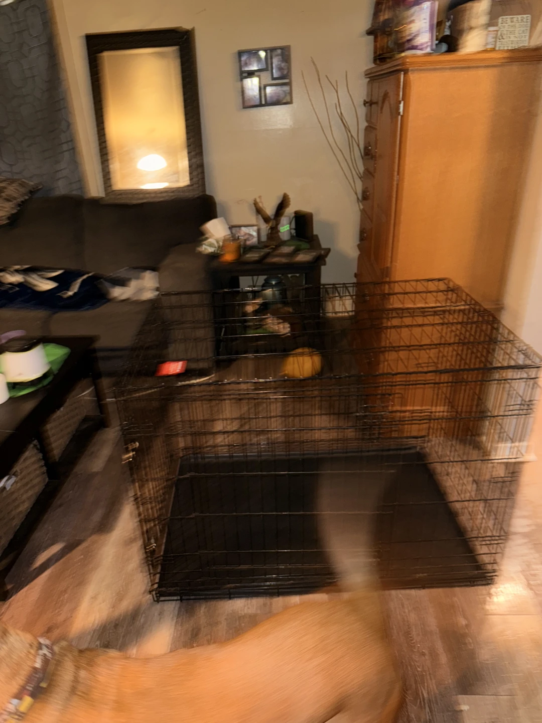 Large Dog Kennel - photo 3