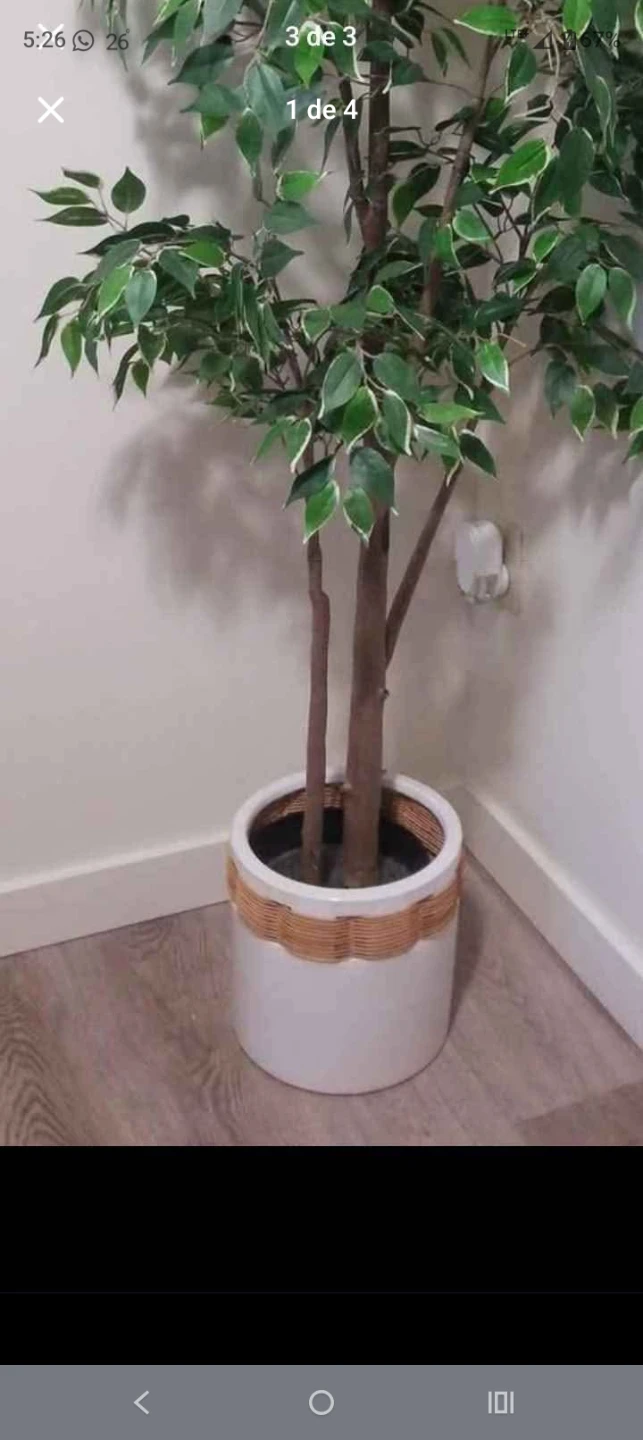 White Plant Pot