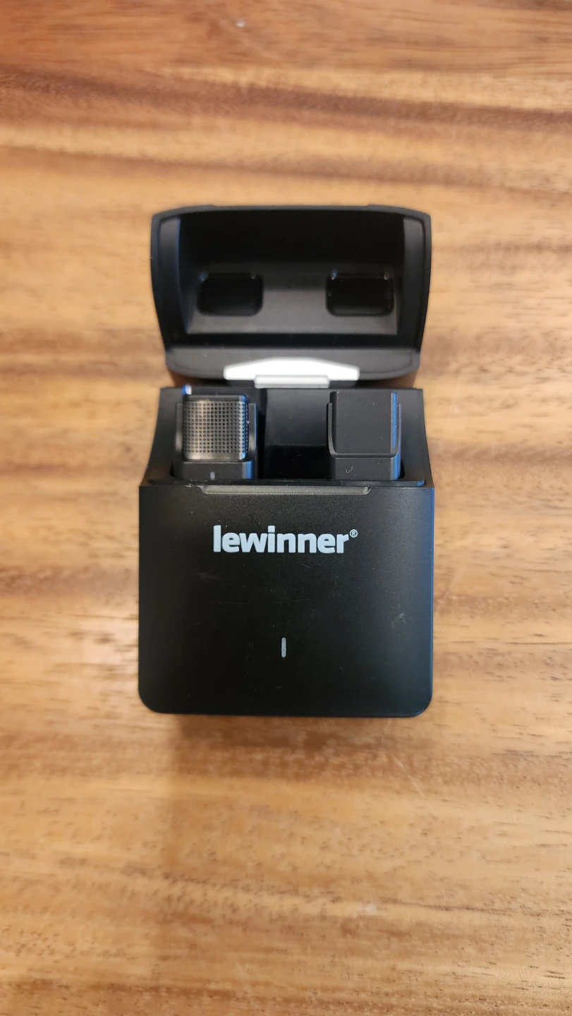 Lewinner Wireless Microphone System