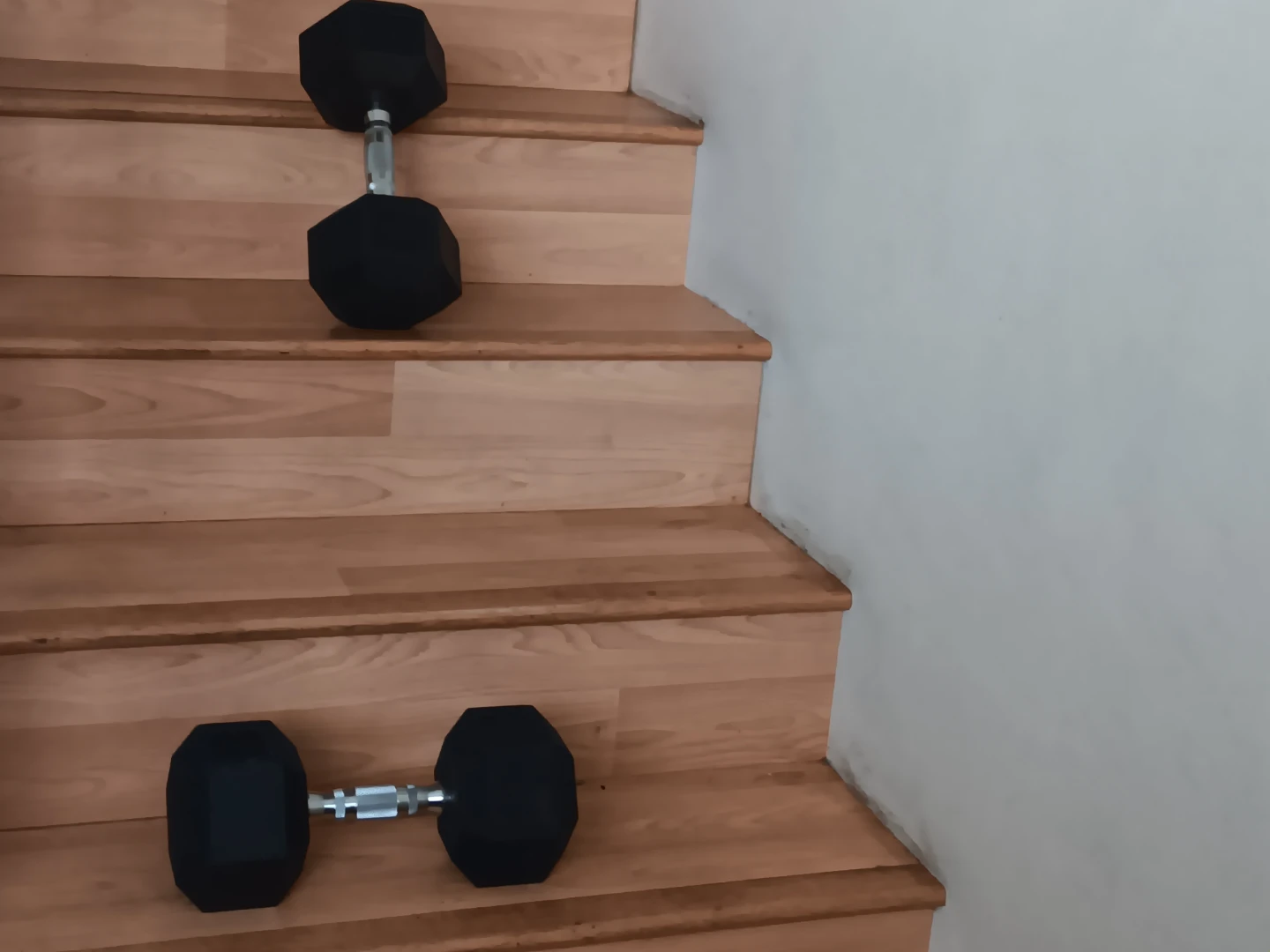 Hexagonal Dumbbells 20 lb