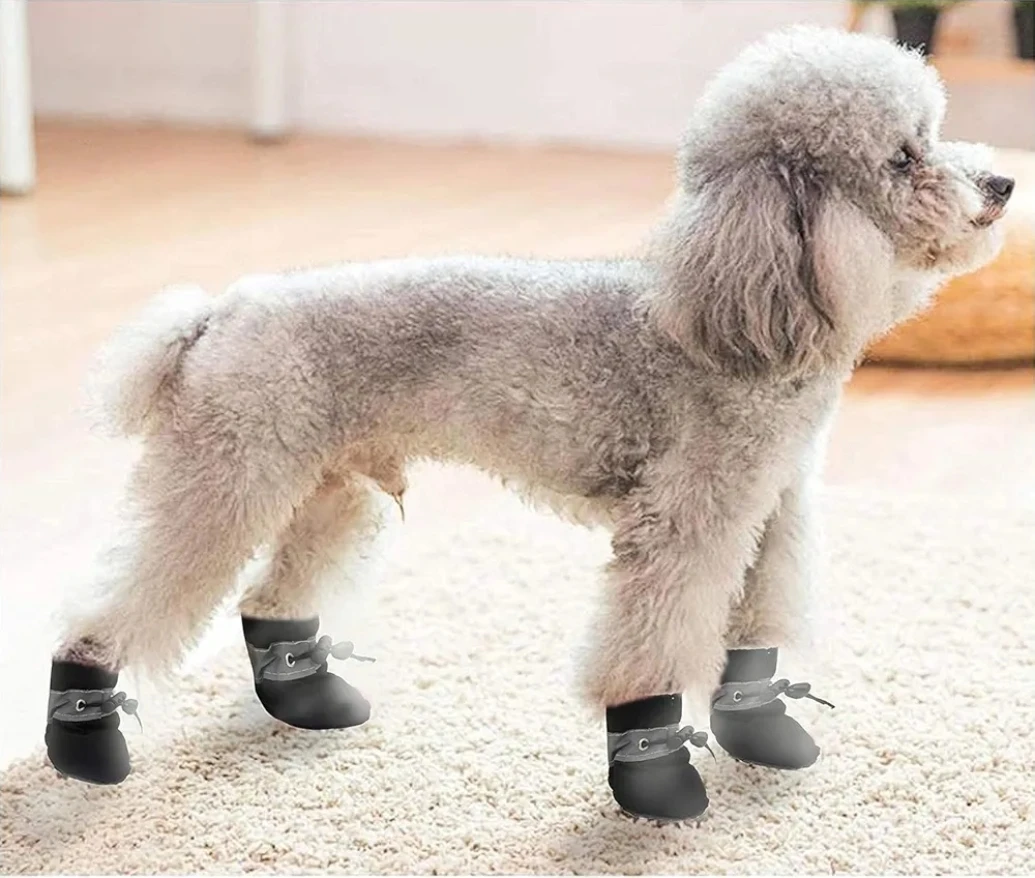 Dog Shoes - Size 3 - photo 5