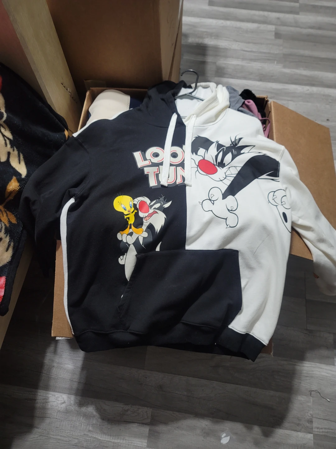Looney Tunes Color Block Hoodie