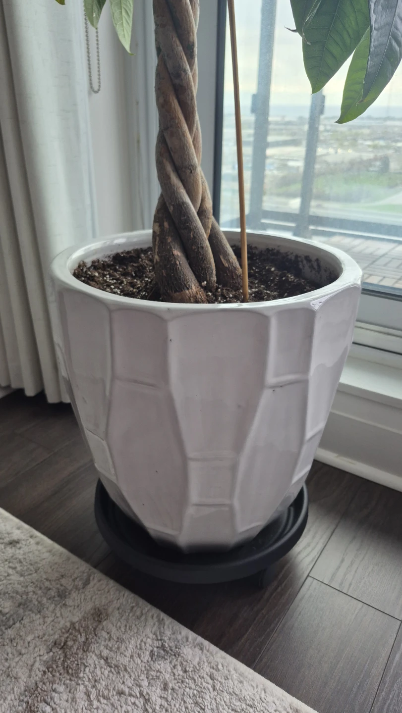 Ceramic Pot for Plants and Trees - photo 4