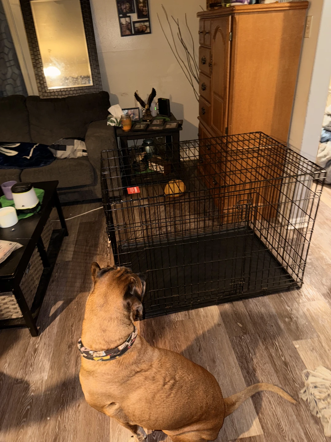 Large Dog Kennel - photo 4