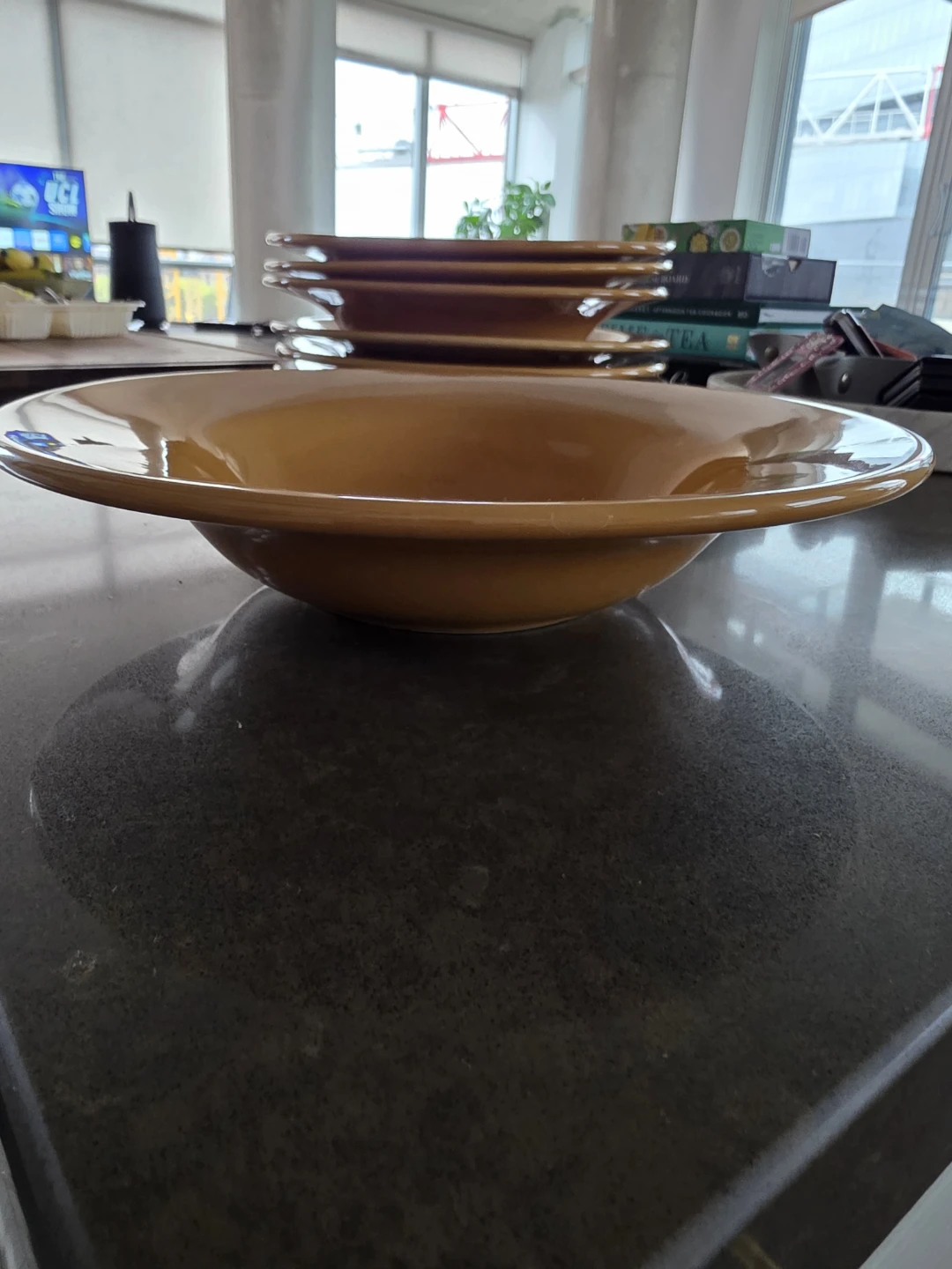 Pottery Barn Sausalito Pasta Bowls Set of 4