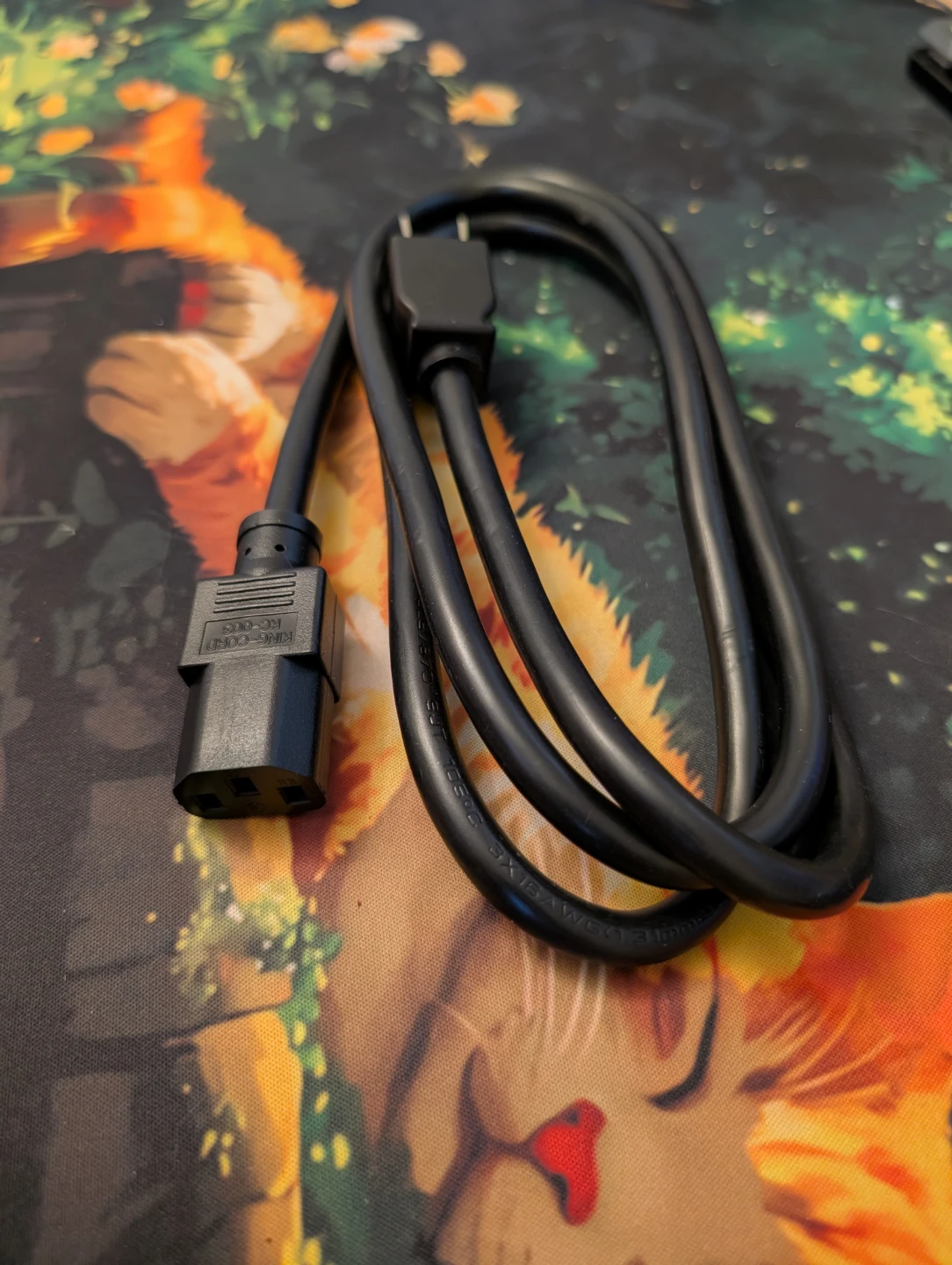 Standard Power Cord