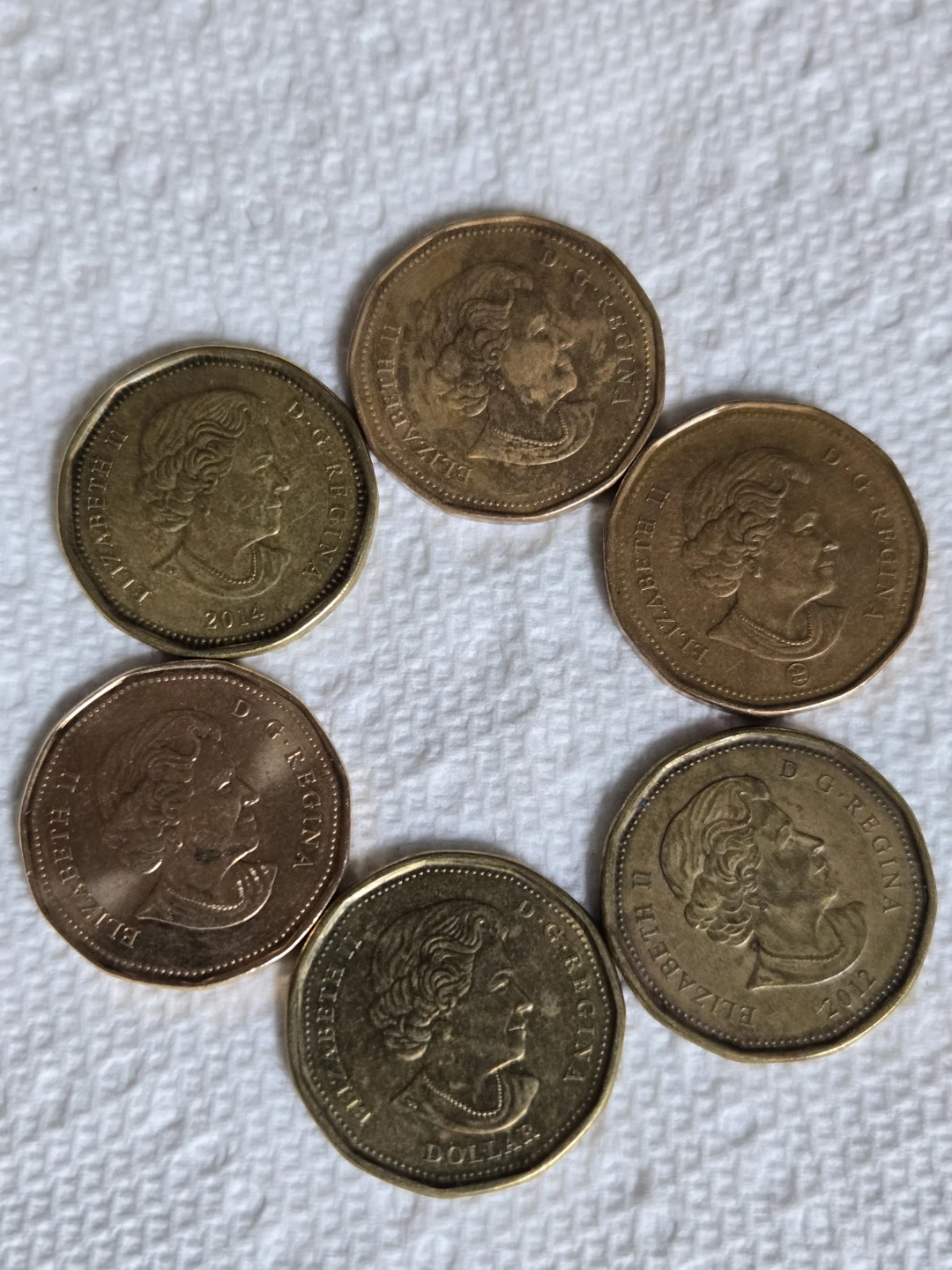 6 Canadian Dollar Coins - photo 2