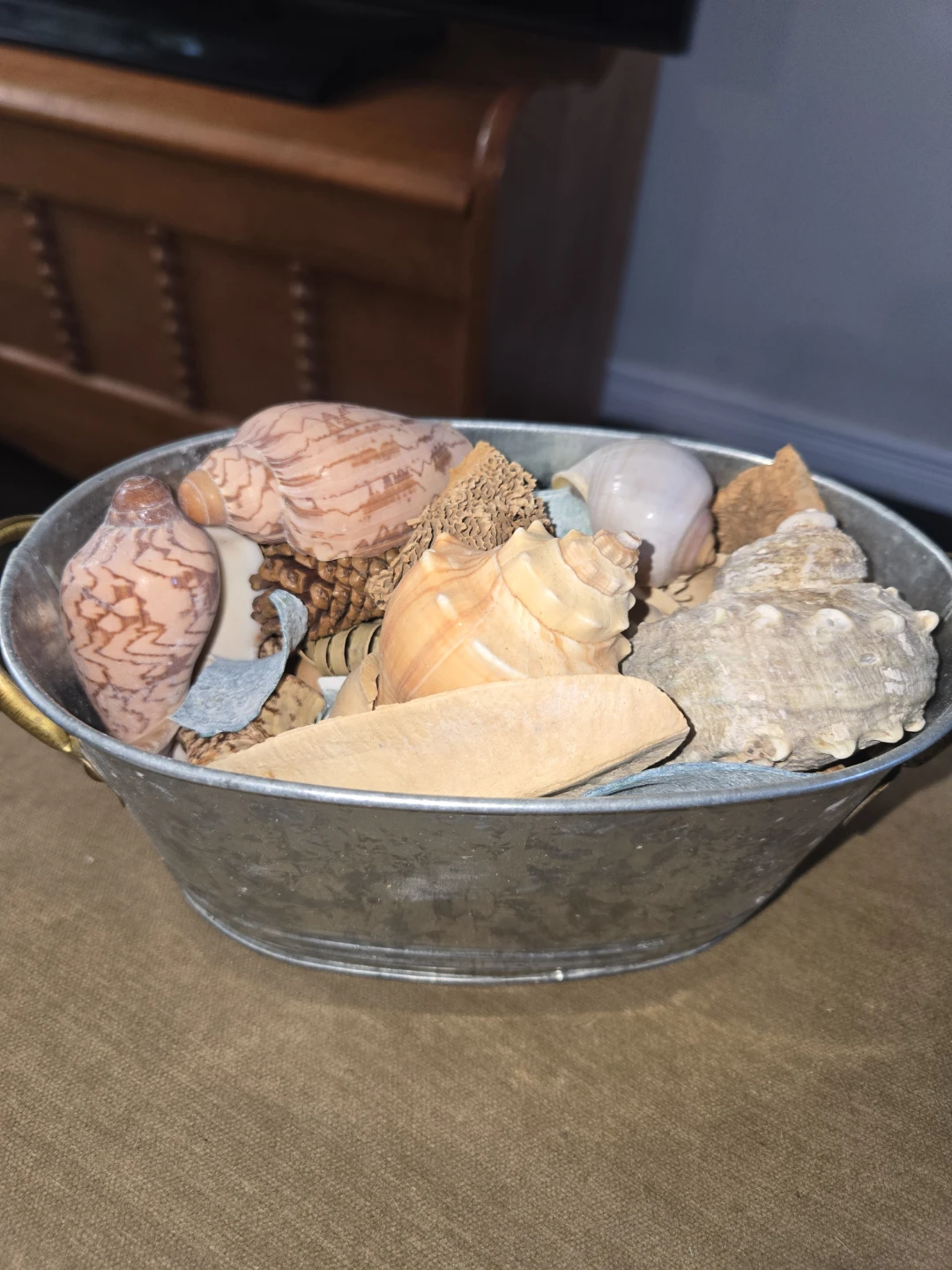 Decorative Seashells in Galvanized Metal Bucket