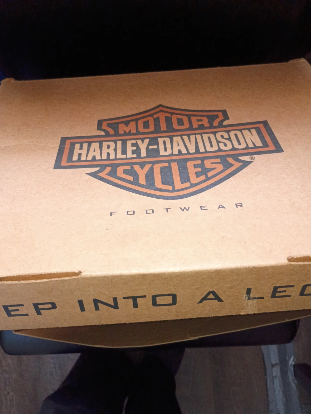Harley Davidson shoes - photo 3