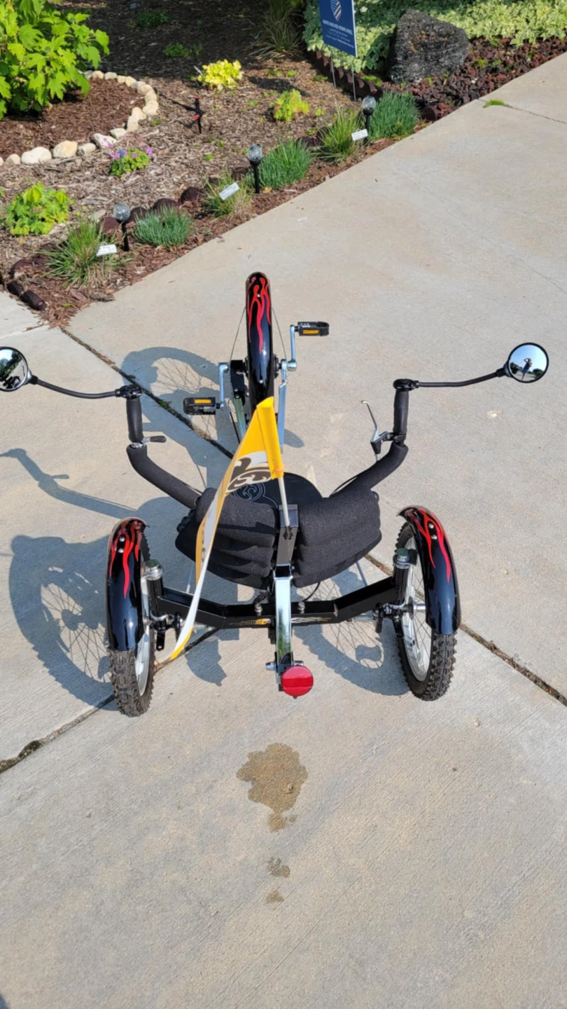 Mobo Cruiser Bike - photo 3