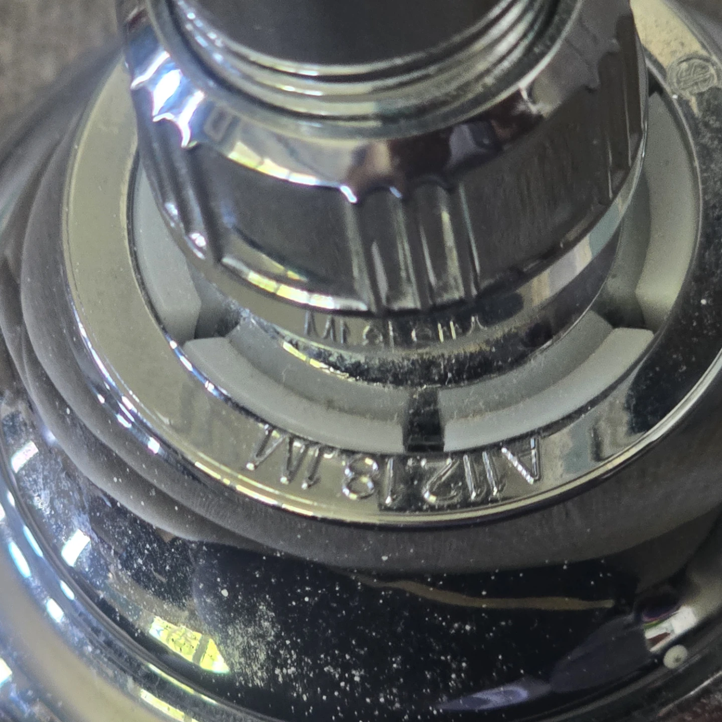 Chrome Shower Head with Arm