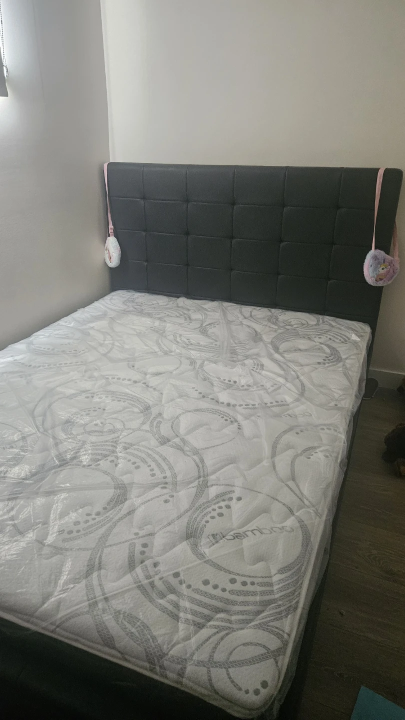 Queen Size Bed Frame with Mattress