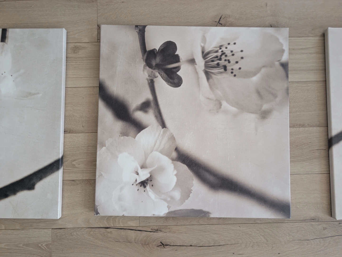 Set of 3 Floral Canvas Wall Art Prints - photo 3