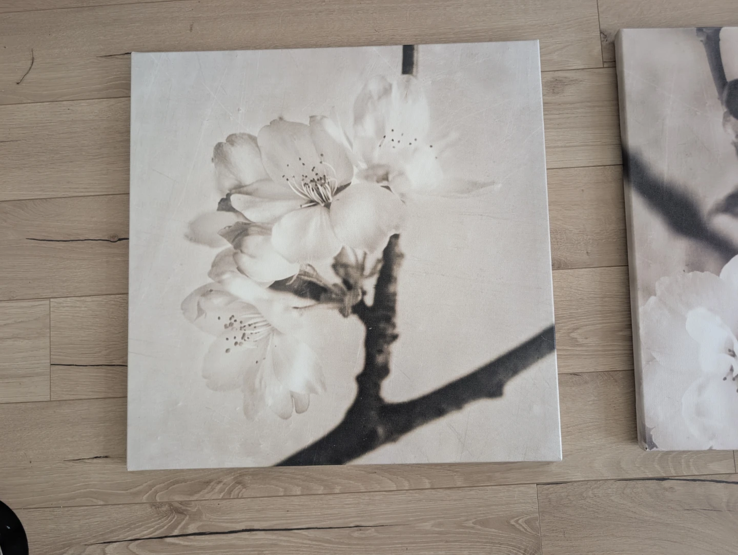 Set of 3 Floral Canvas Wall Art Prints - photo 4