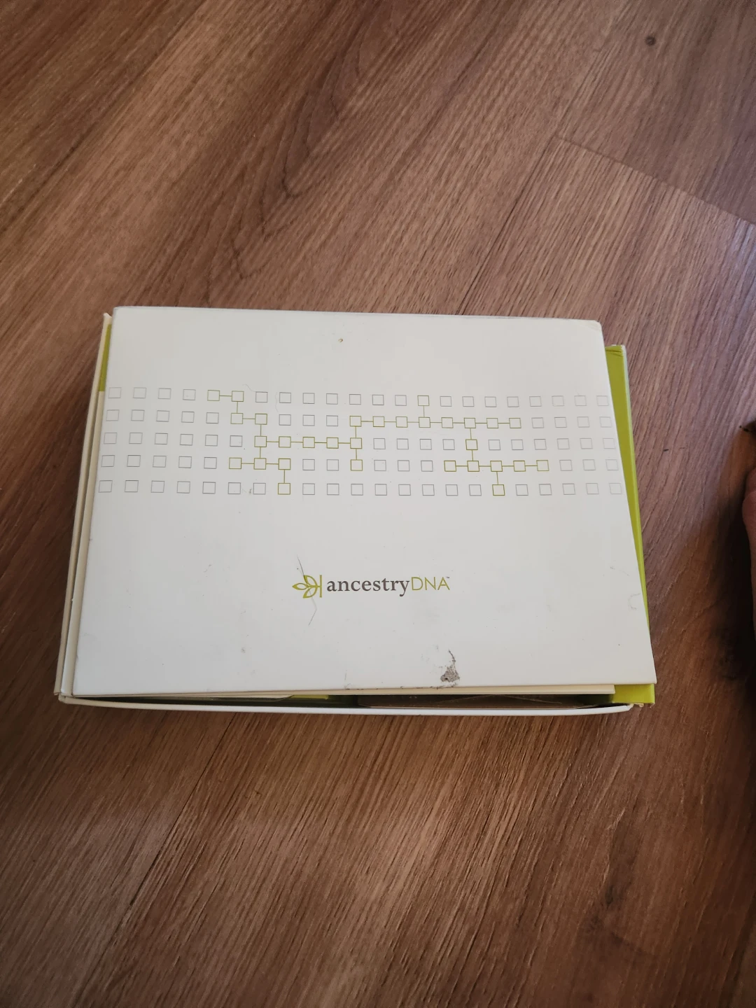 Ancestry DNA kit (Unused, Complete)