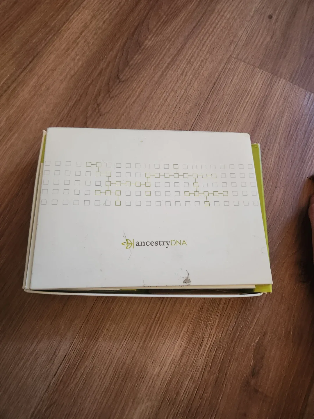 Ancestry DNA kit (Unused, Complete)