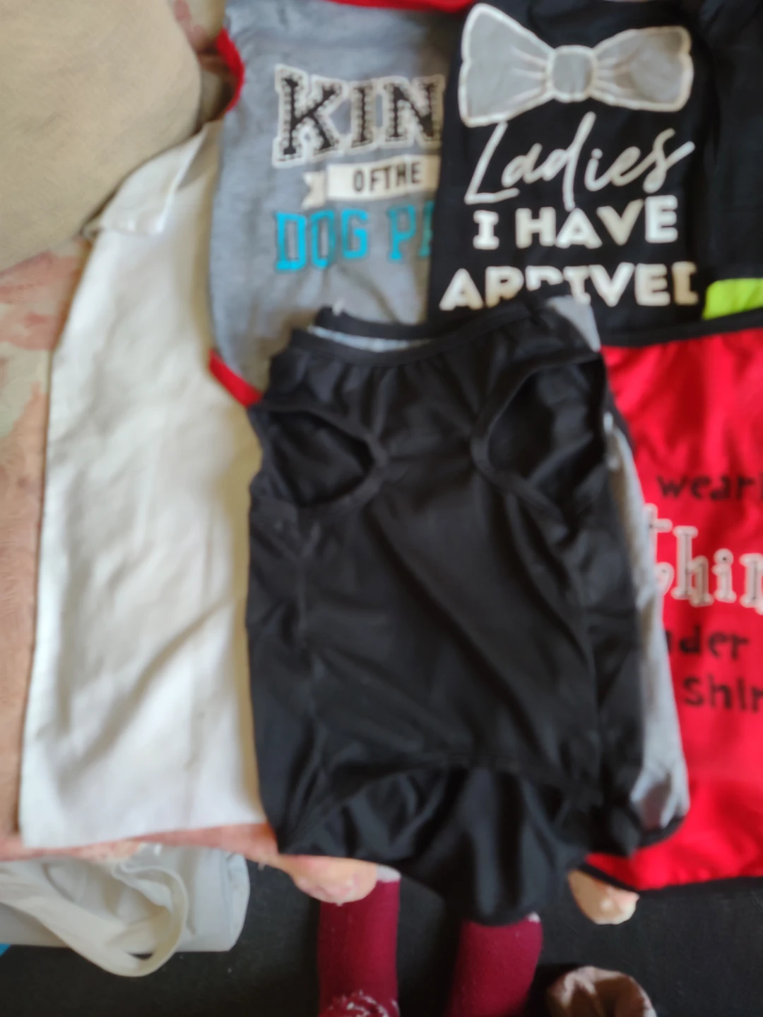 Large pet clothes - photo 2