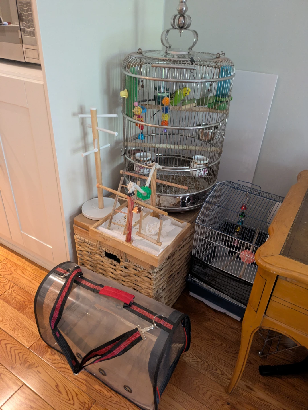 Bird Cages and Accessories