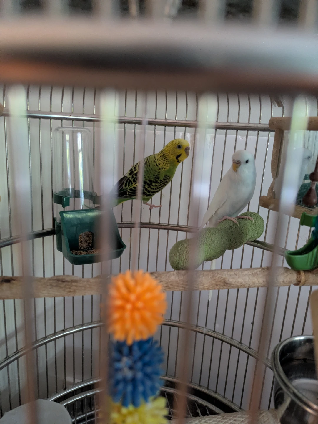 Bird Cages and Accessories - photo 2