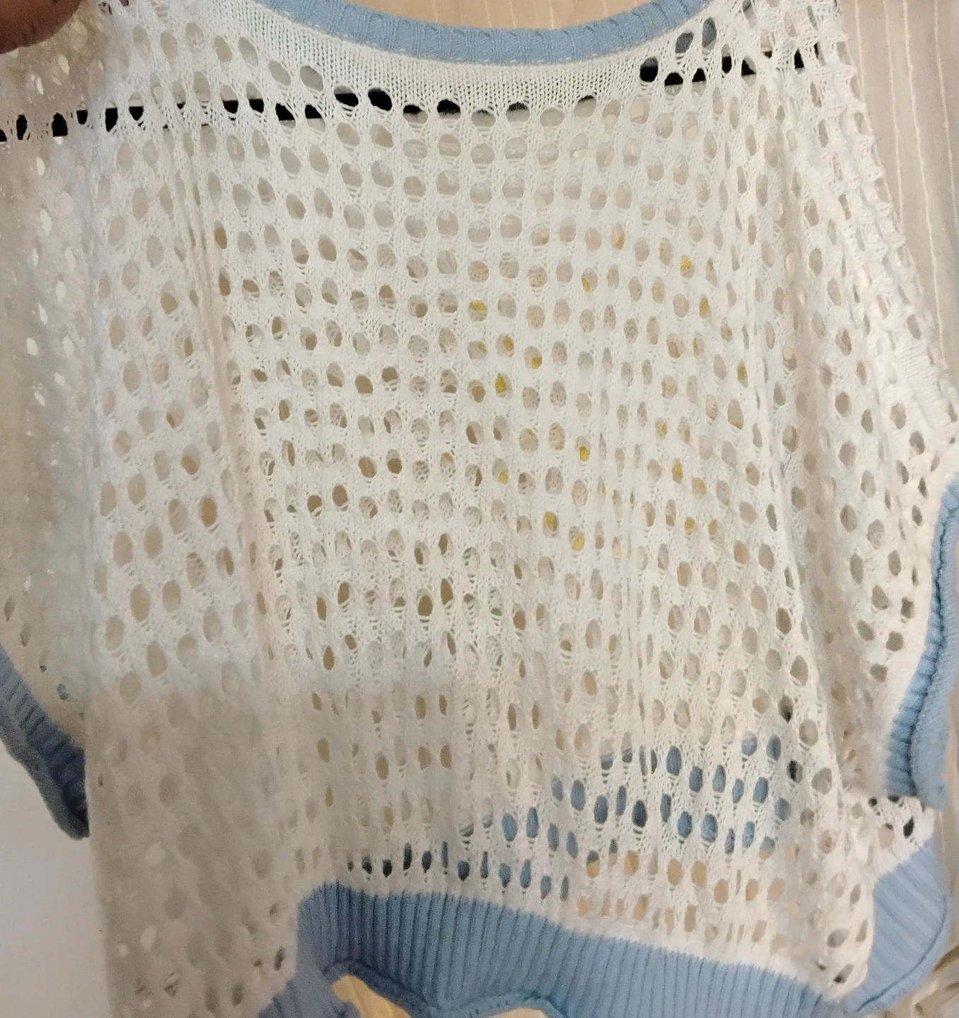 Crocheted White & Blue Flower Top - photo 3