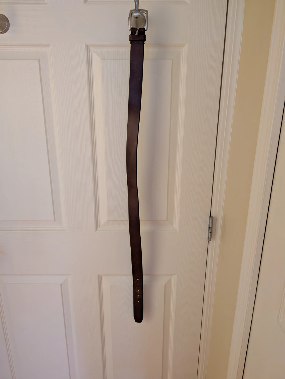 Dark Brown Leather Fossil Belt