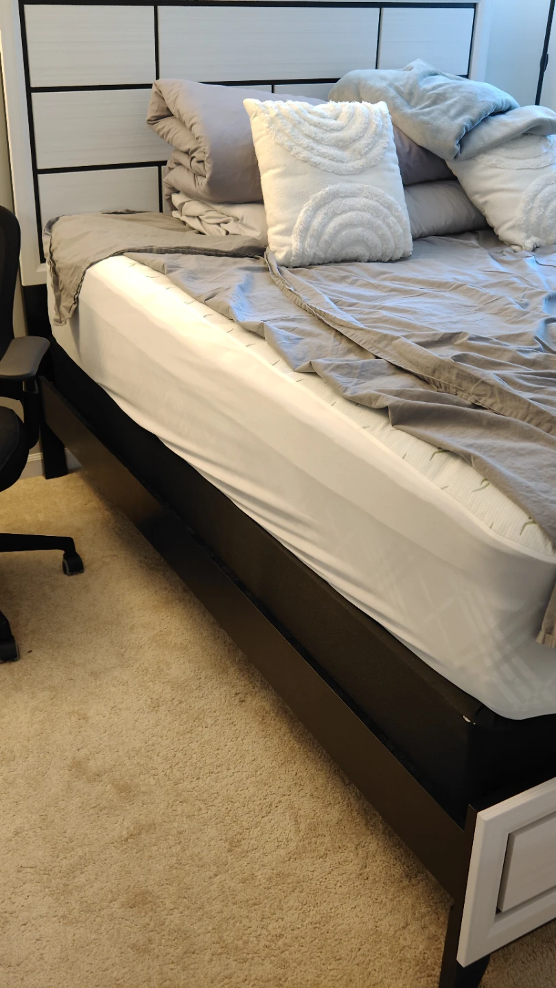 Free Queen Box Spring / Foundation - photo 4