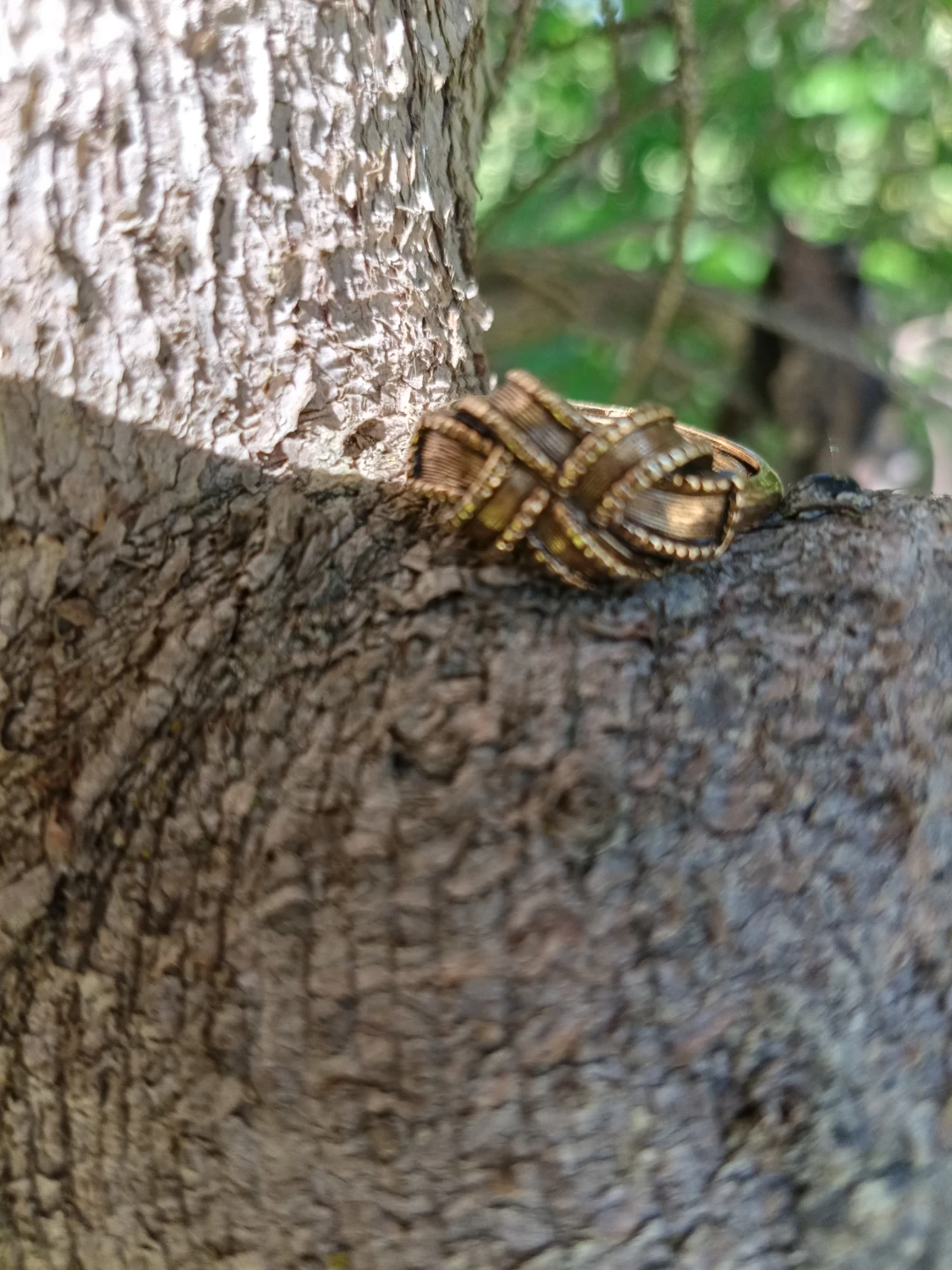 Vintage Ribbon Ring