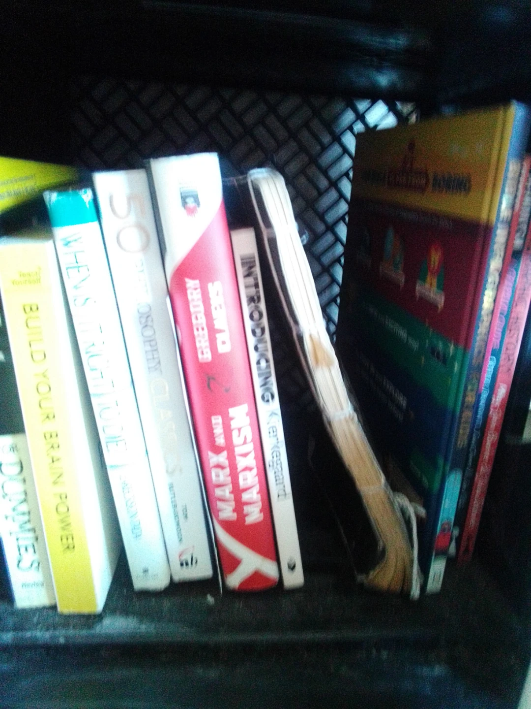 Assorted Psychology and Social Science Books - photo 4