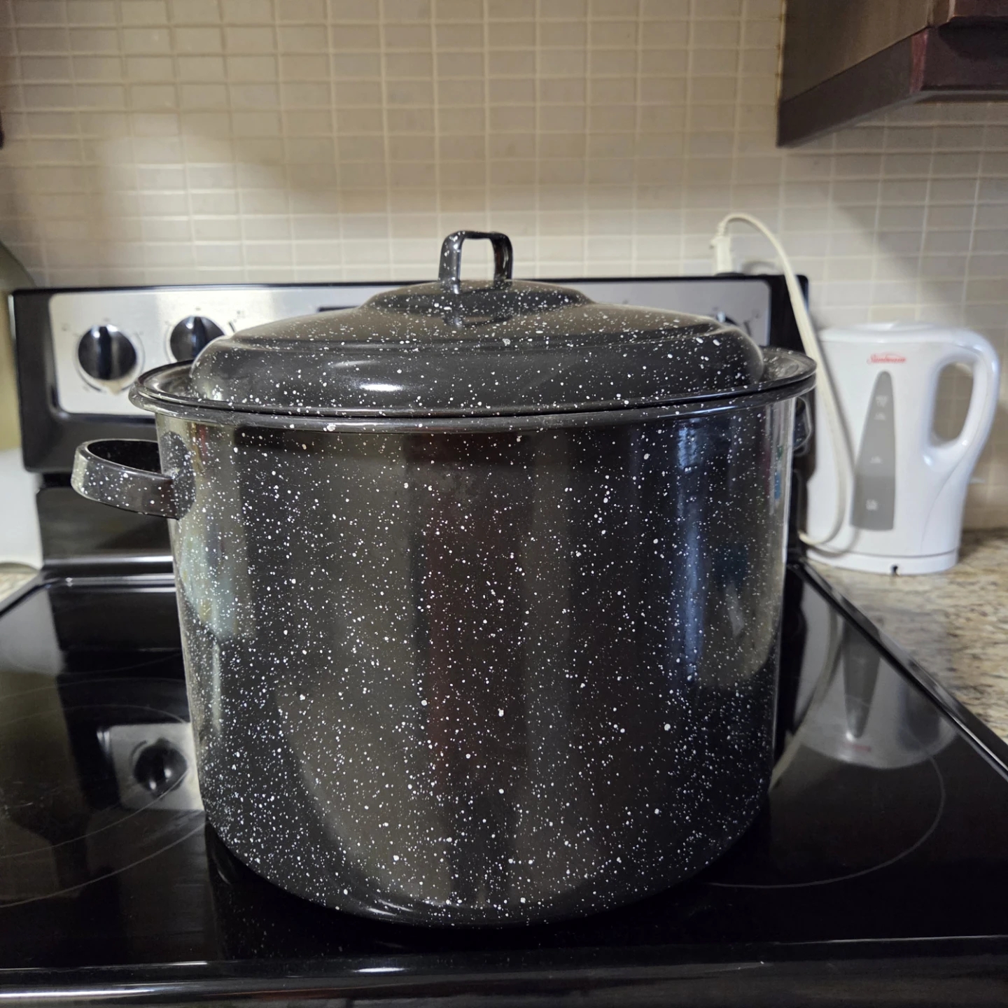 Granite Ware Stock Pot