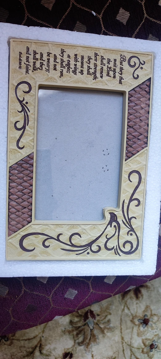 Isaiah 40:31 Picture Frame