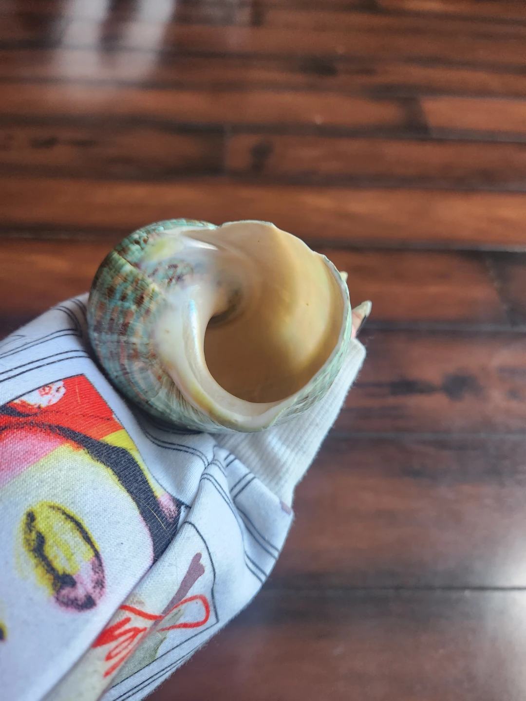 Decorative Sea Shell - photo 2
