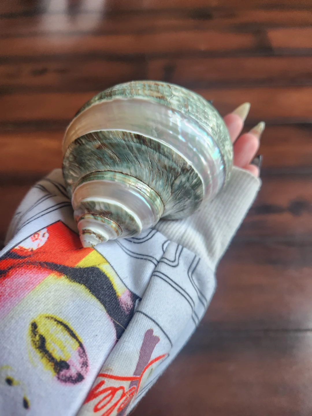 Decorative Sea Shell - photo 3