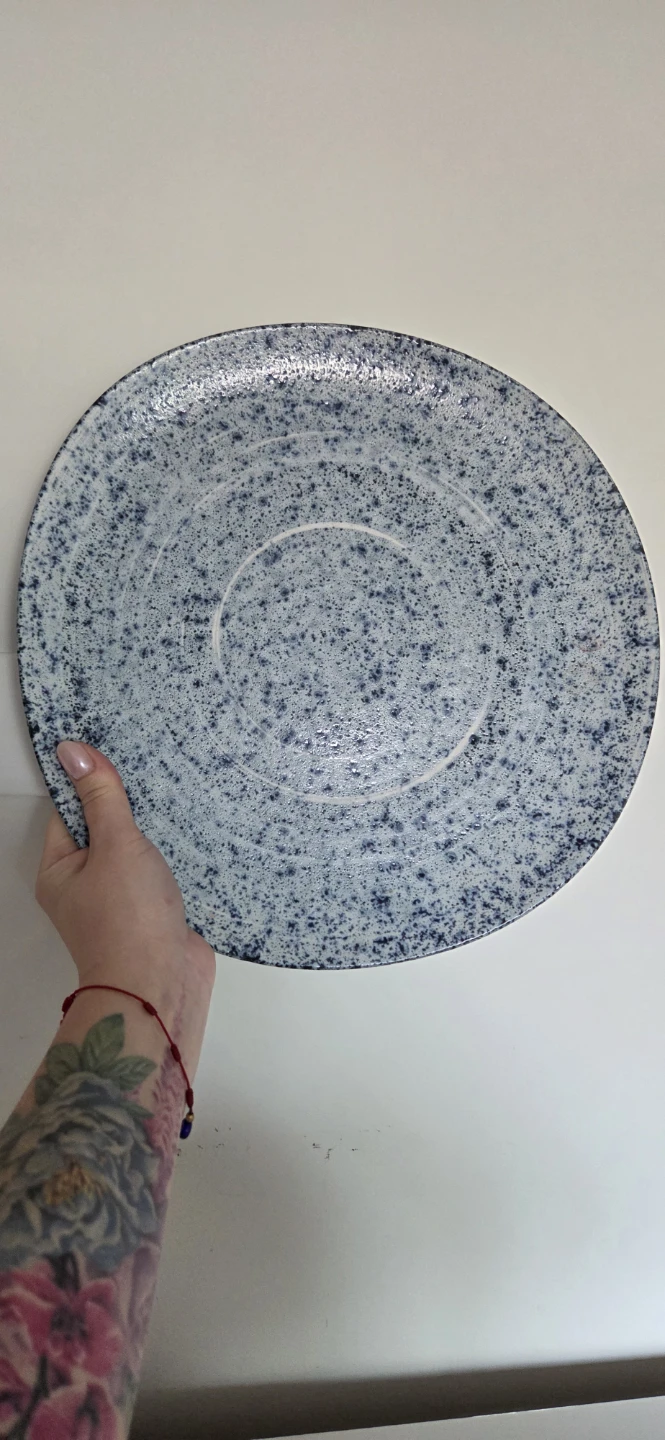 Casa Alegre by Vista Alegre charger/serving Plate