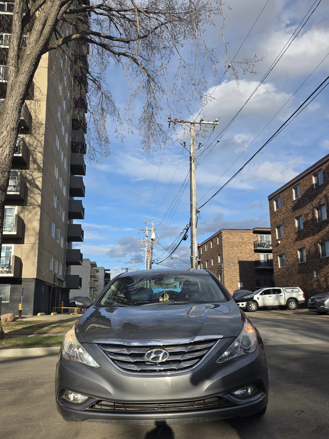 Grey Hyundai Sonata Sedan - photo 3
