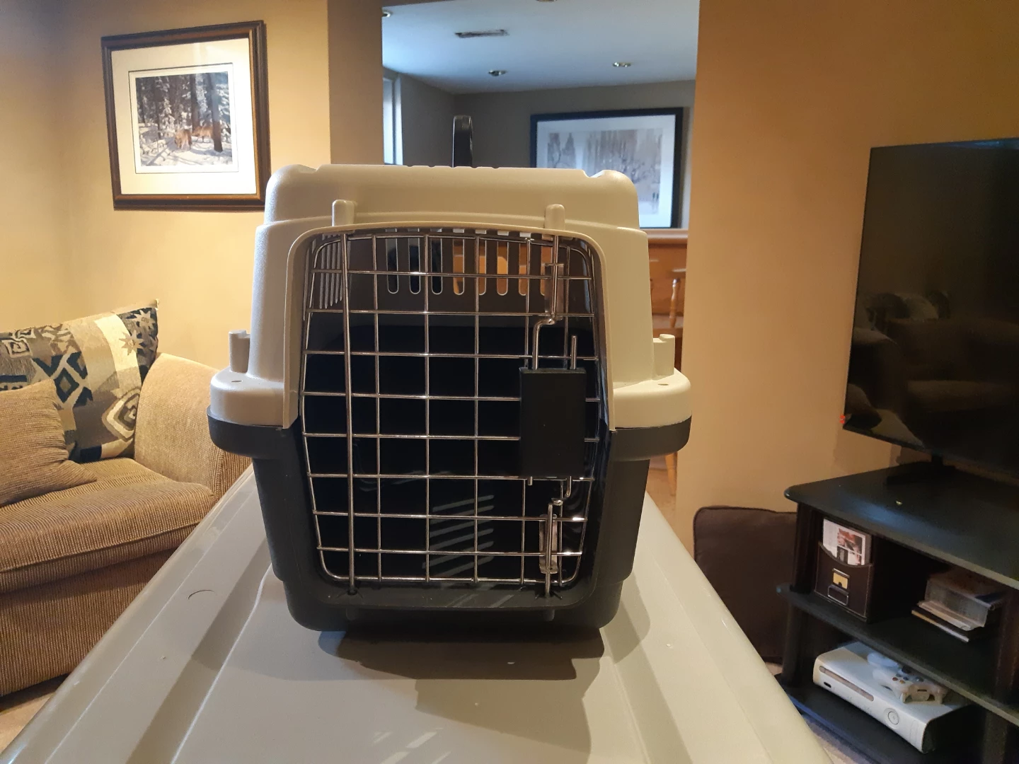 Pet Carrier