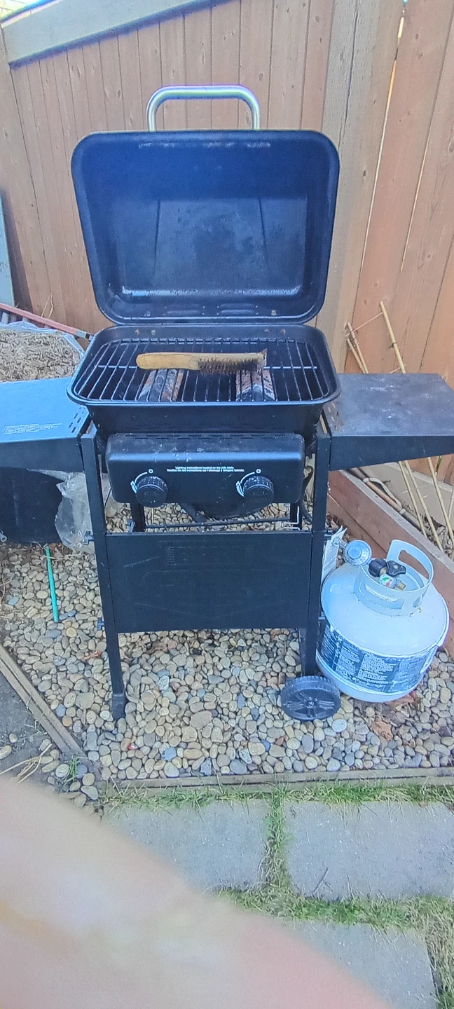 Expert Grill Propane BBQ - photo 2