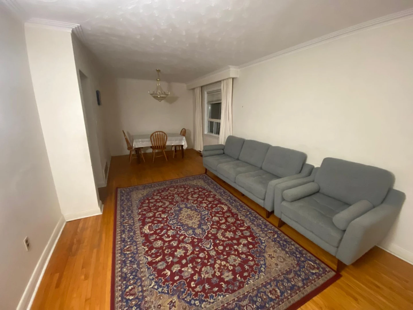 3 bedroom 2 bathroom - House for rent - photo 3