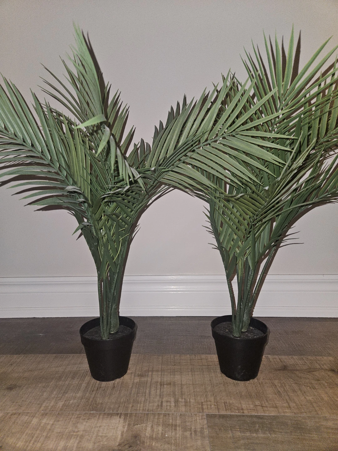 Fake fern plant