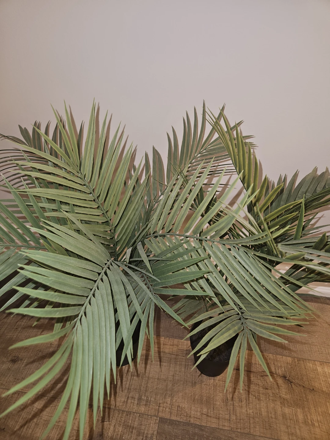 Fake fern plant - photo 4