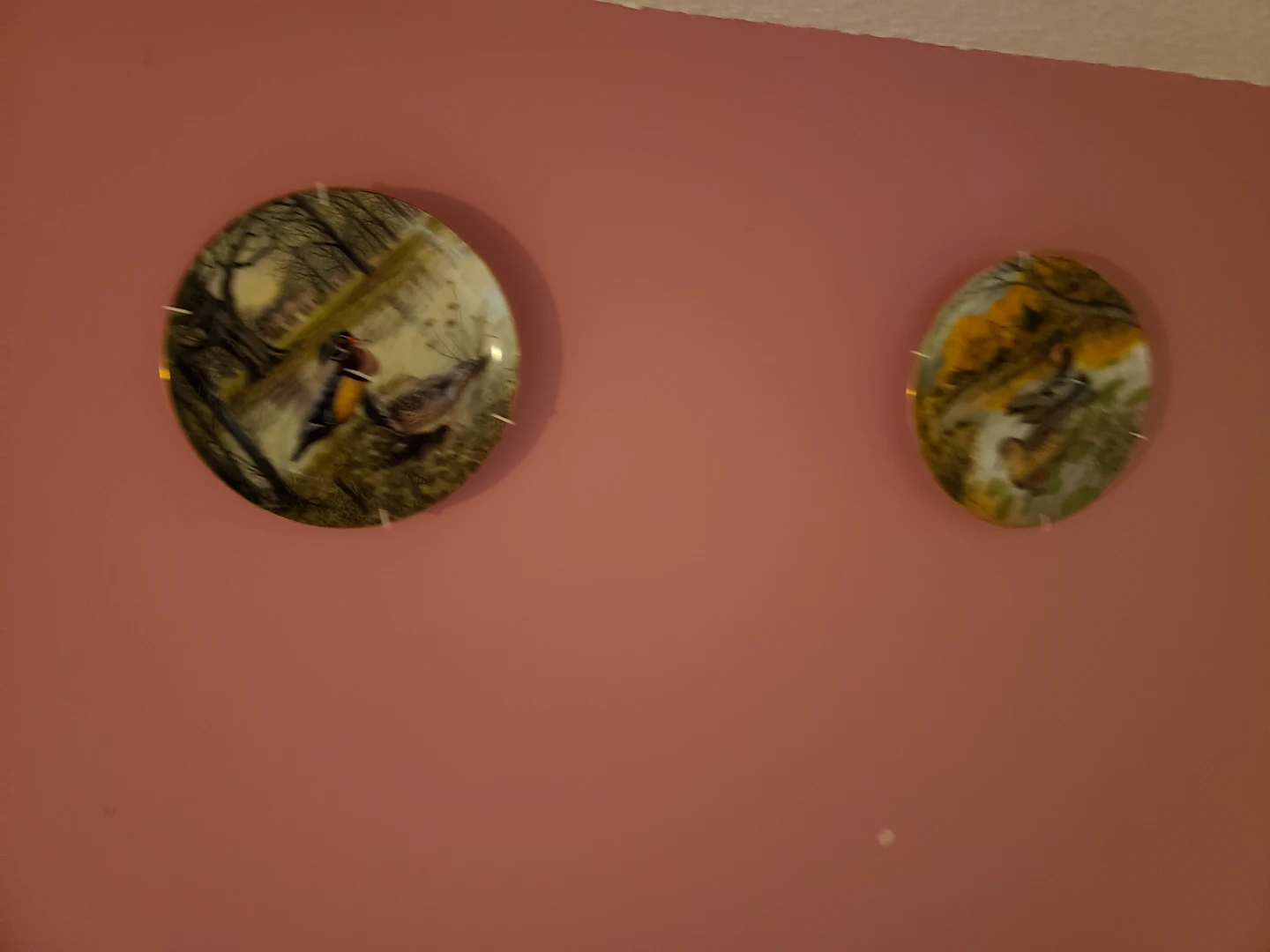 Decorative Collector Plates with Wildlife Scenes
