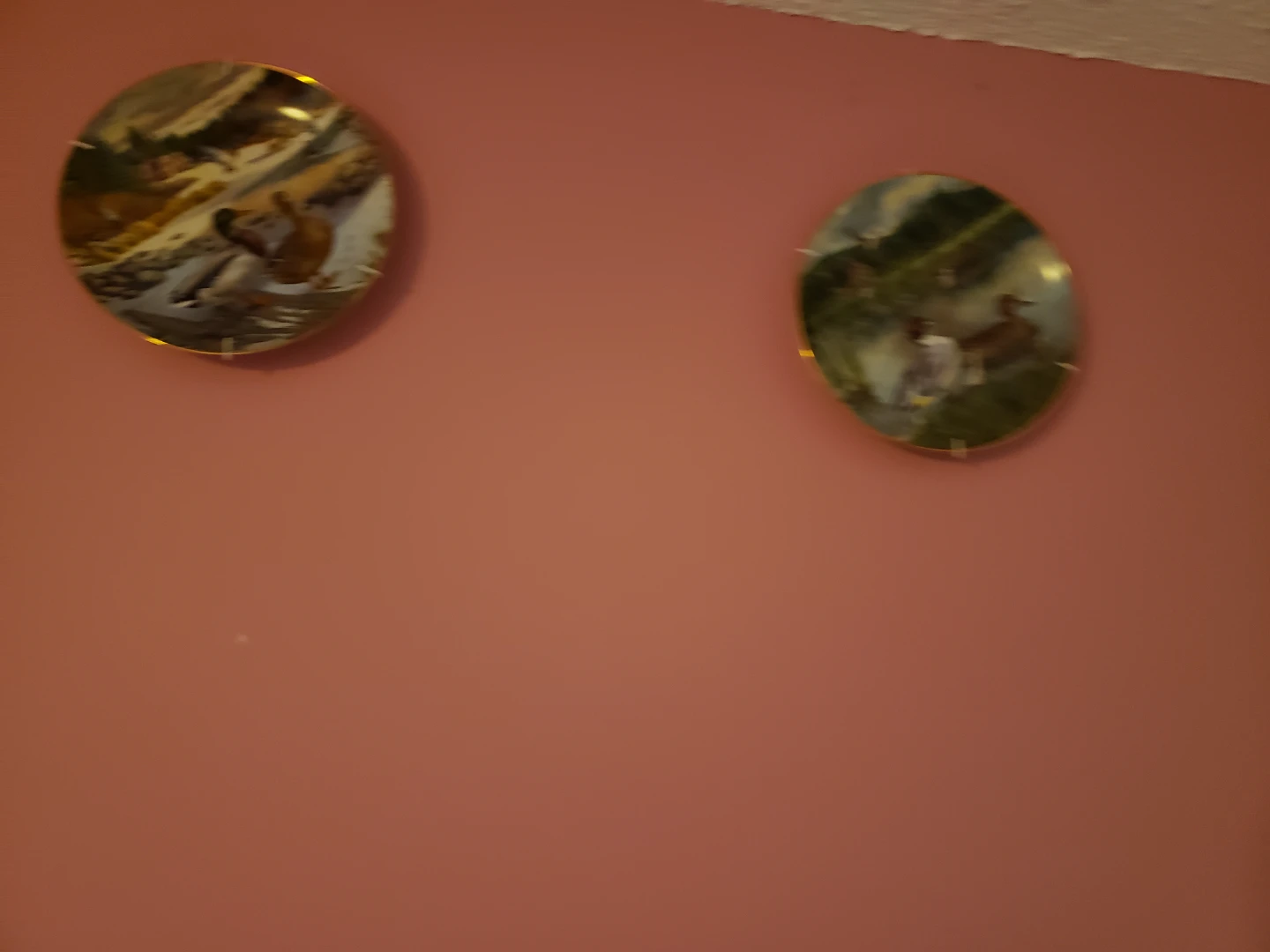 Decorative Collector Plates with Wildlife Scenes - photo 2
