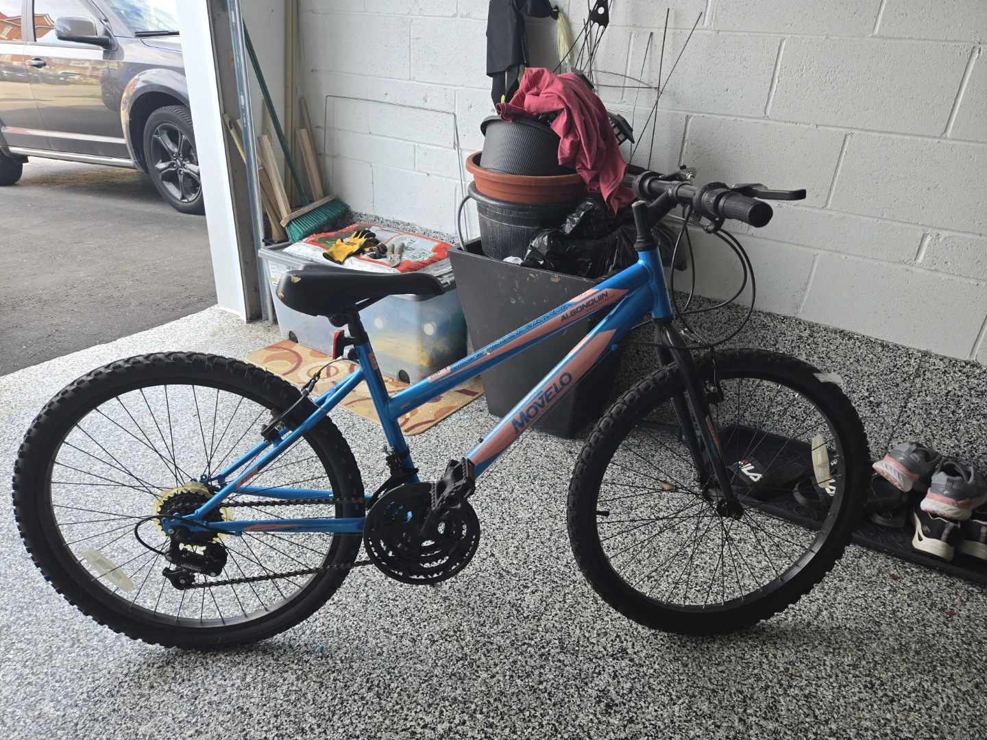 Movelo Bike - Blue/Pink - photo 3