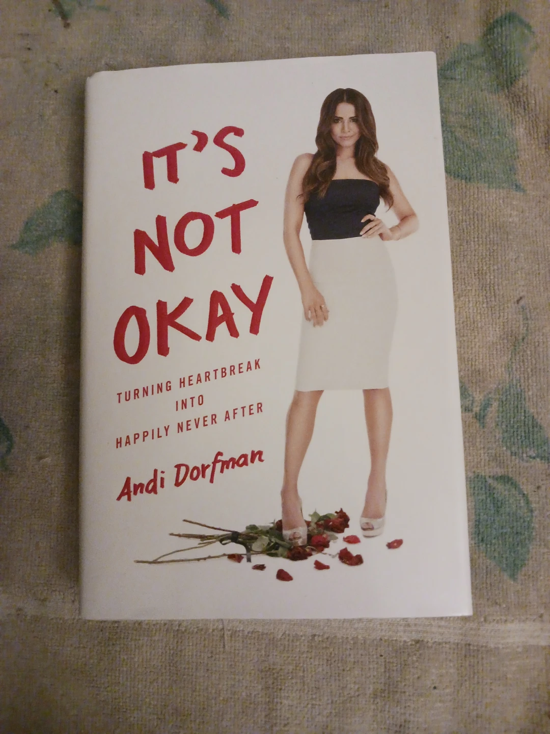 It's Not Okay by Andi Dorfman