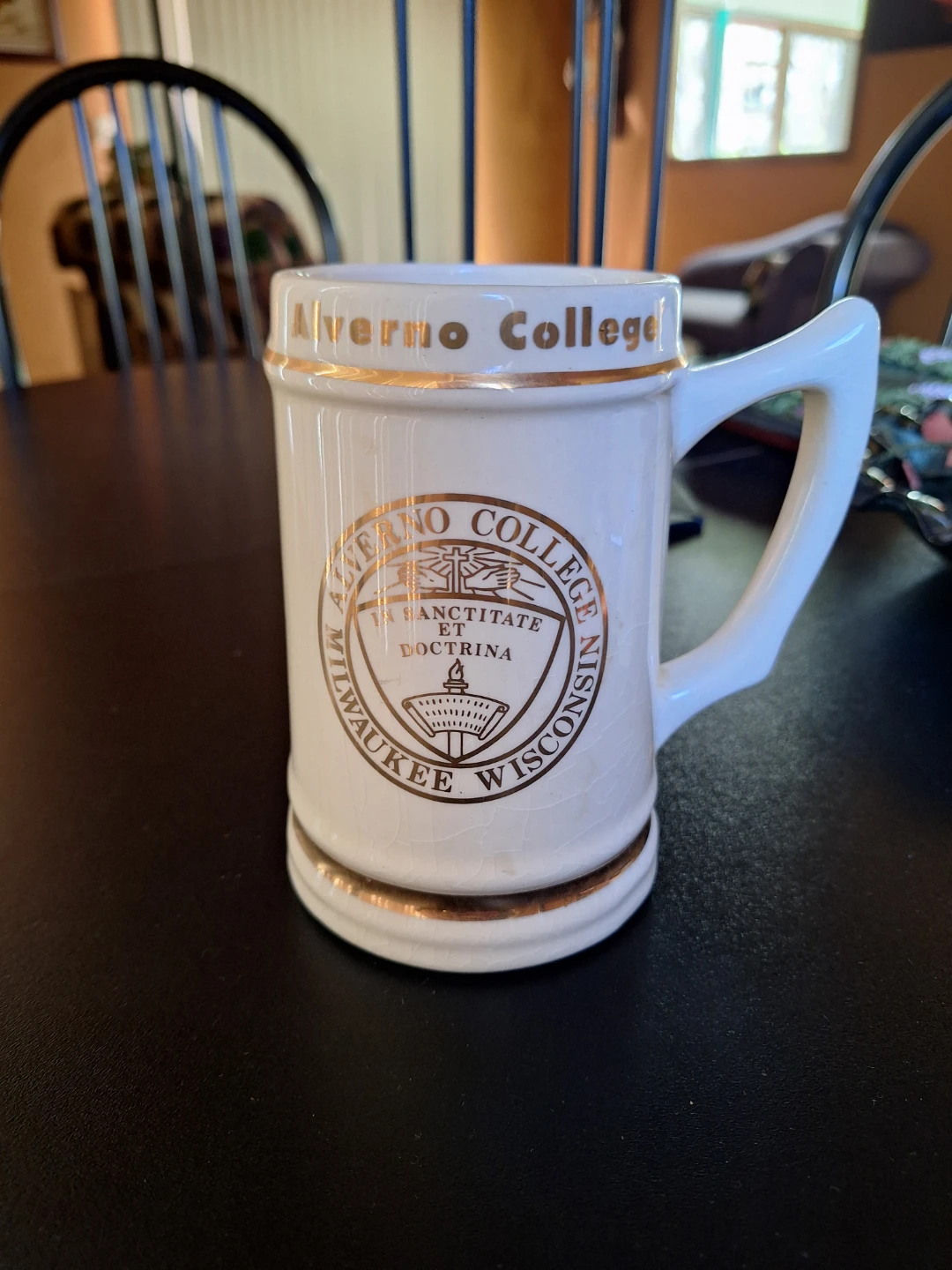 Alverno College Milwaukee Wisconsin Ceramic Mug - photo 2