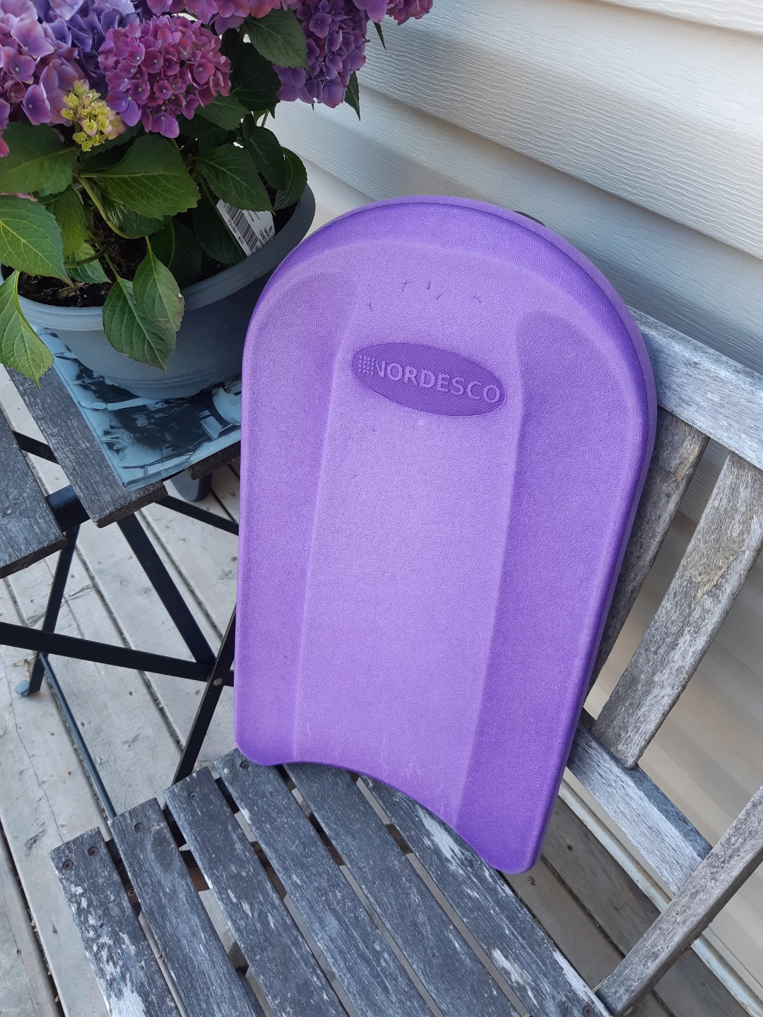 Purple Nordesco Rigid kickboard