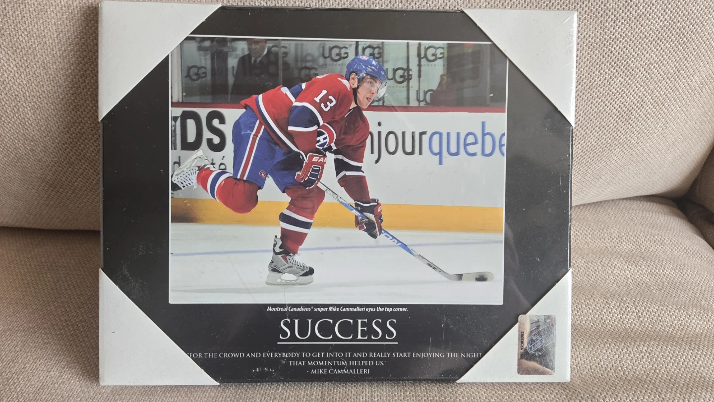 Montreal Canadiens Mike Cammalleri "Success" Plaque