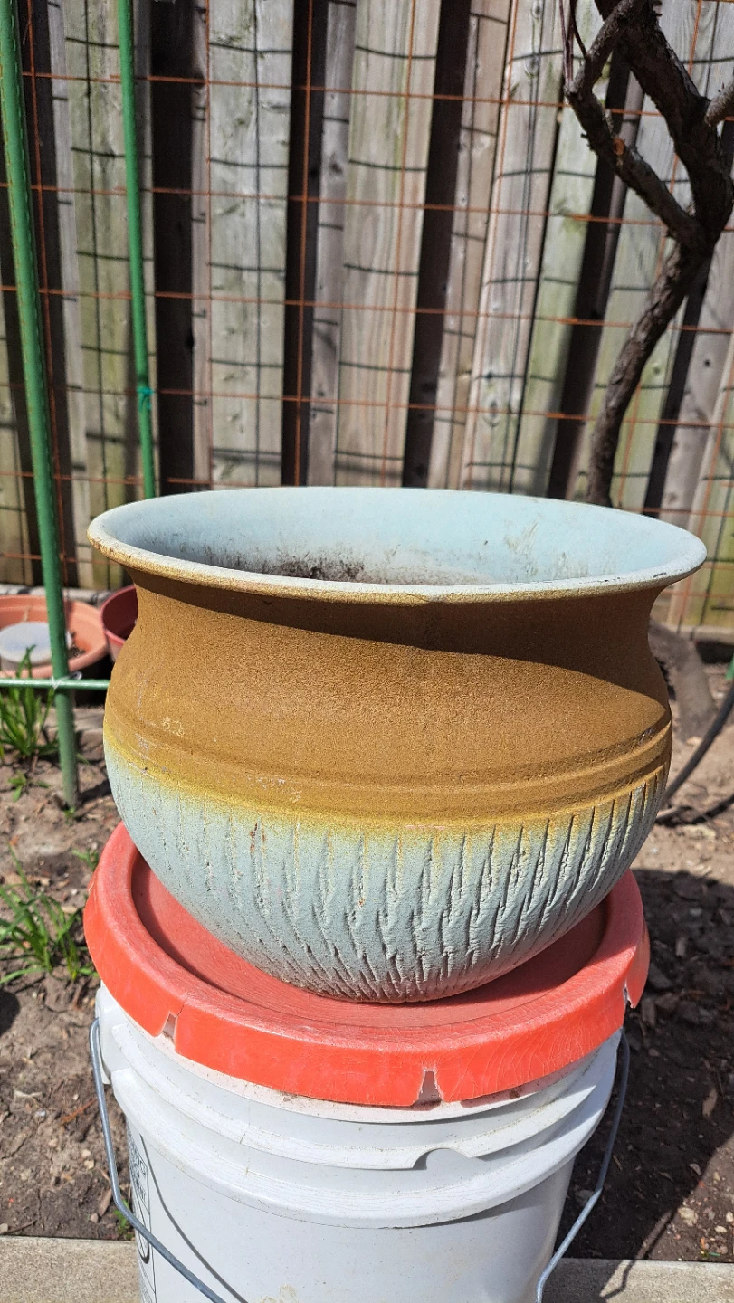 Large Textured Ceramic Planter Pot