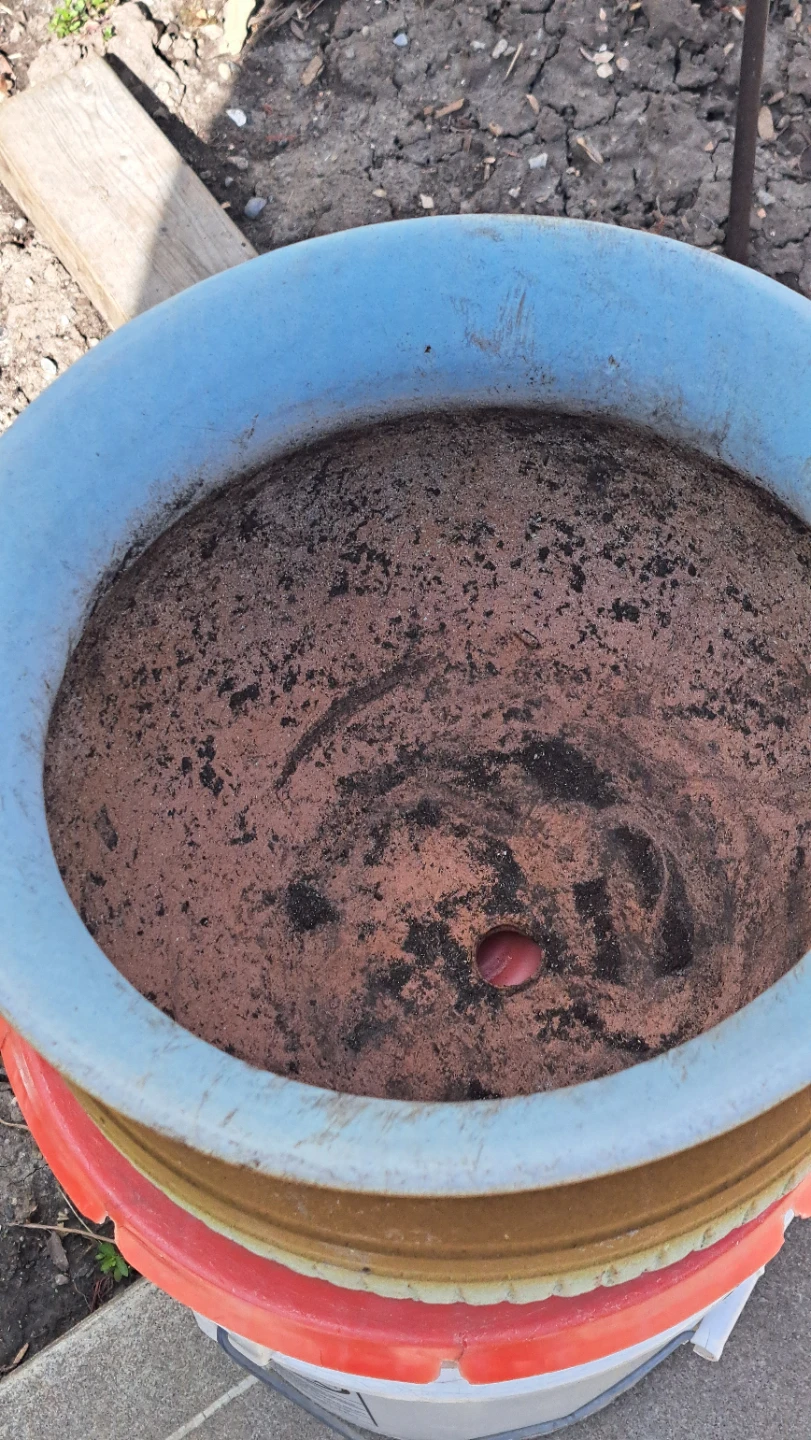 Large Textured Ceramic Planter Pot - photo 2