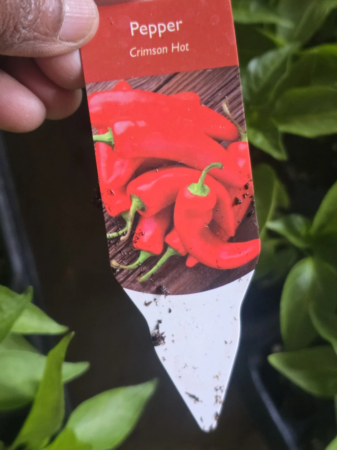 Tomato, Eggplant, Pepper, and Plum Tomato Plant Tags