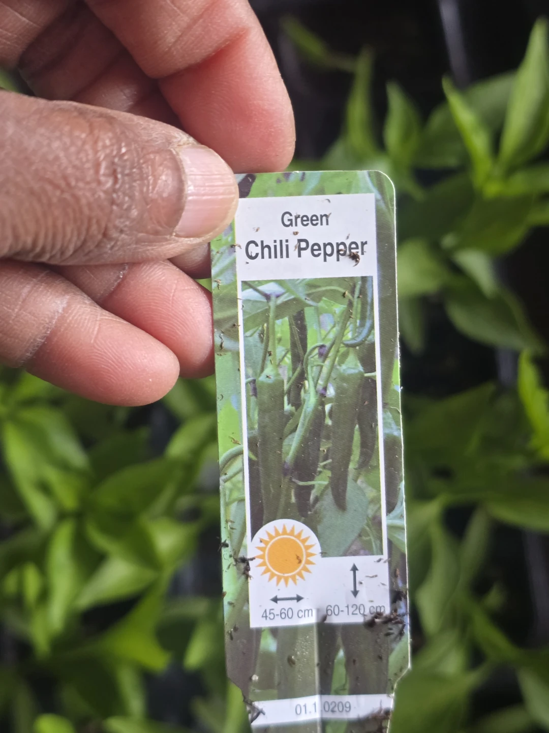 Tomato, Eggplant, Pepper, and Plum Tomato Plant Tags - photo 2